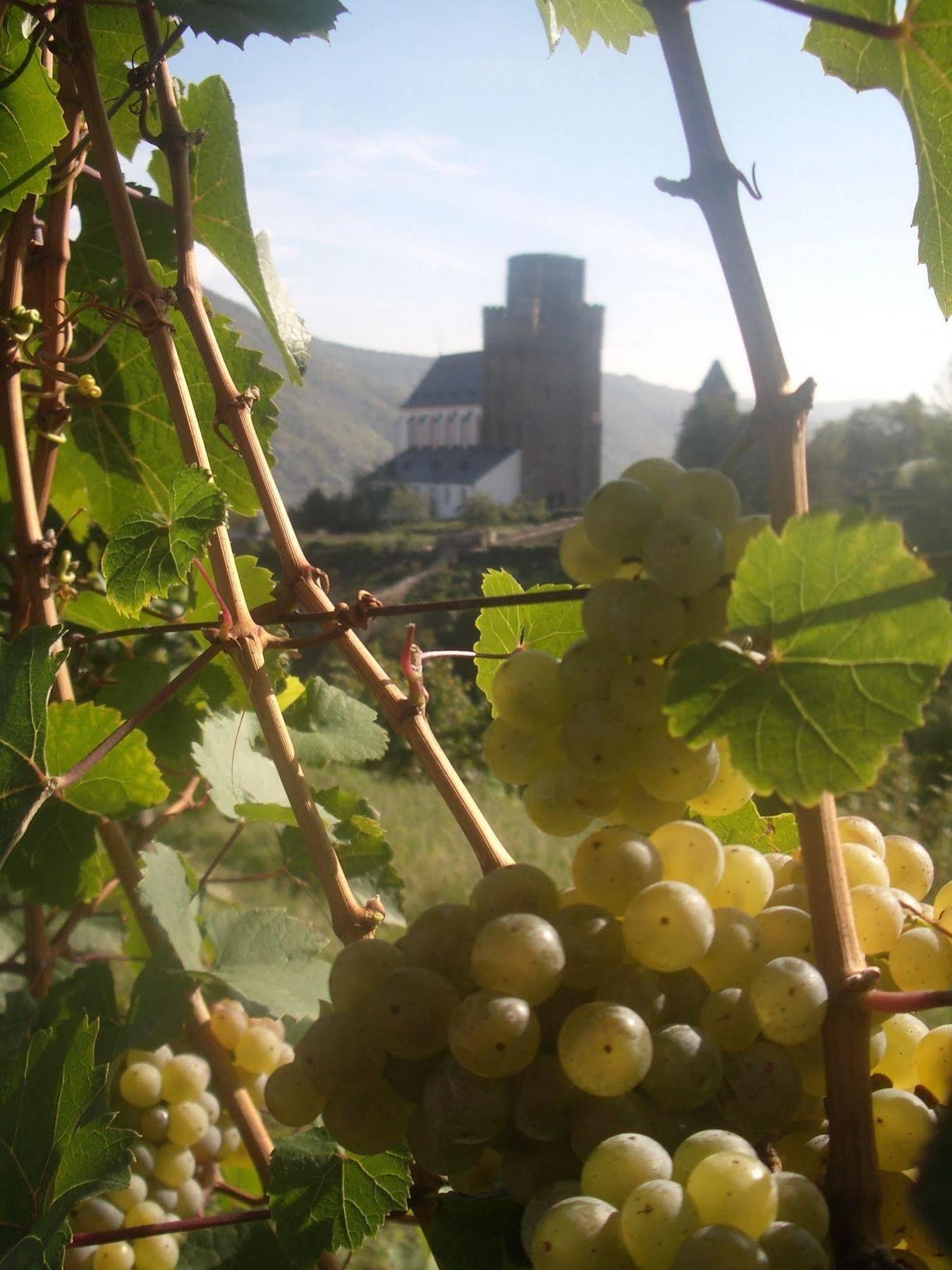 Gasthaus Weingut Stahl Oberwesel Extérieur photo