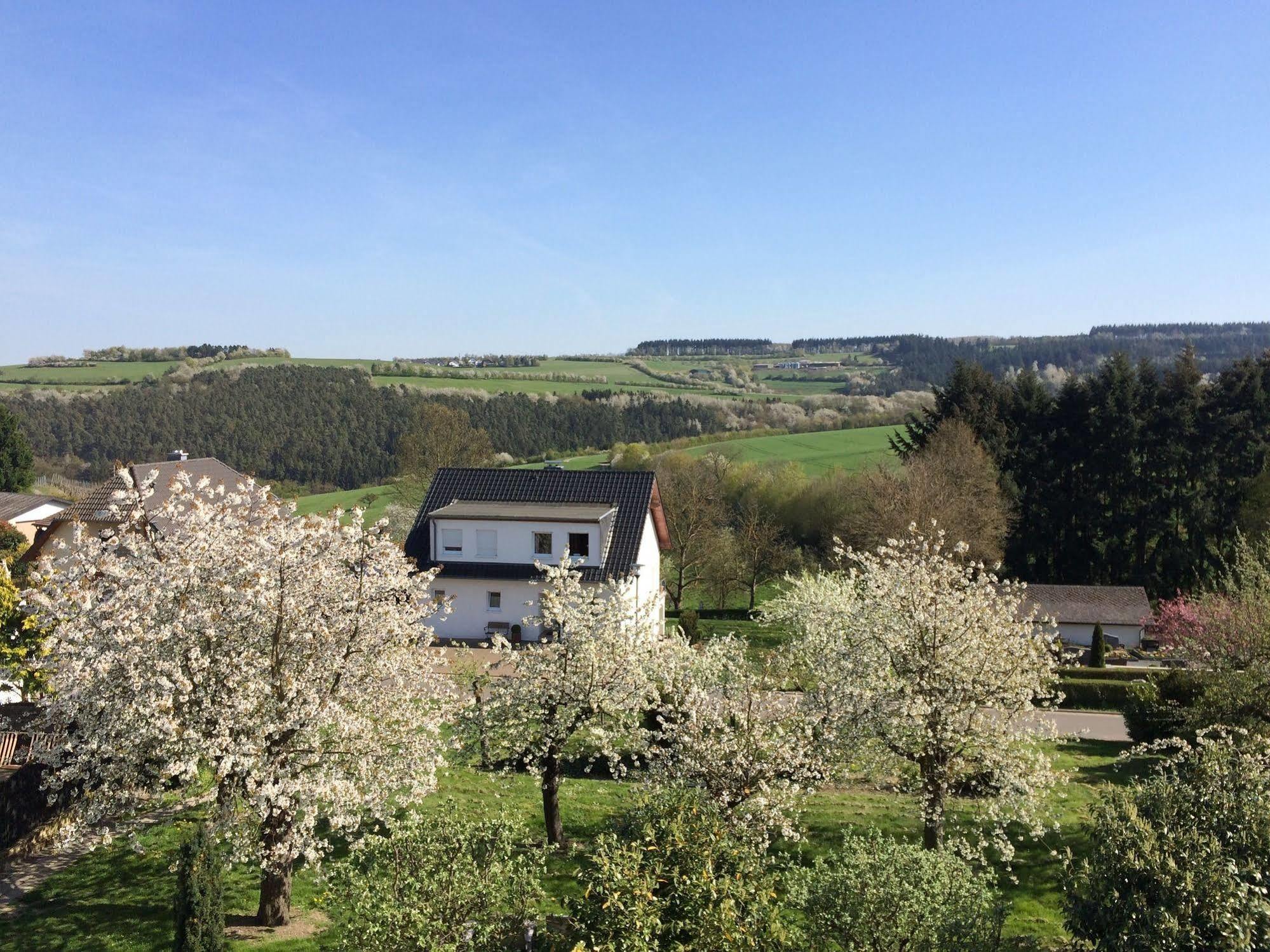 Gasthaus Weingut Stahl Oberwesel Extérieur photo